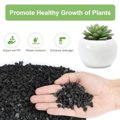 2.5lbs Lava Rocks for Plants, 1/5 Inch Black Gravel for Succulent, Cactus, Bonsai Tree, Pure Volcanic Rocks, Top-Dressing, Good Drainage - color: Black