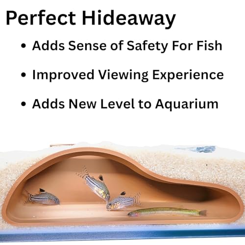 Lucky Critter Aquarium Underground Tunnel Cave Natural Curve | Viewing Fish & Shrimp Under Gravel Tunnel | Fish Tank Decor Decoration Hideout Perfect for Corydora Catfish, Kuhli Loach, Pleco (Brown) - color: Brown