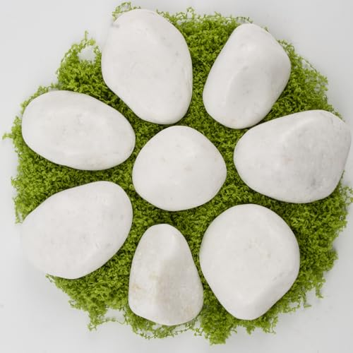 20 lbs White Polished Decorative Stones, 2-3 Inch Polished Rocks, Ideal for Garden Landscaping, Potted Plants, Pathways, Vase Fillers, and Aquarium Decoration(Pure White, Weight: 20 LB) - color: Pure White, size: Weight: 20 LB
