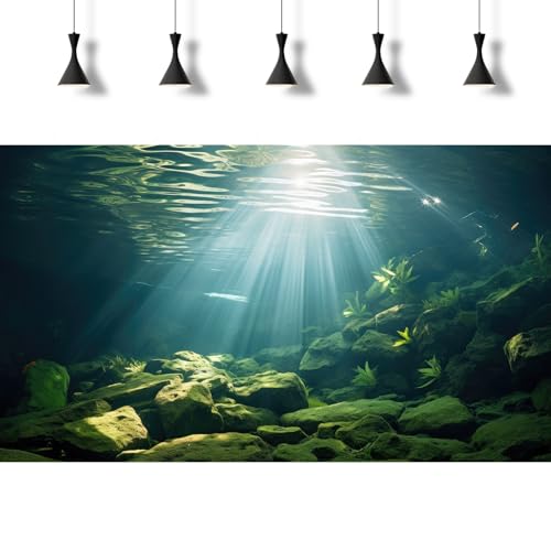 Under The Sea Aquarium Background Aquatic Plants Deep Sea Fish Tank Background Underwater Sunray Rock Terrarium Backgrounds Deep Ocean Floor Tropical Fish Tank Backgrounds Decorations 24x12in - color: Light Blue, size: 24(W)x12(H)inches/ 60(W)*30cm(H)