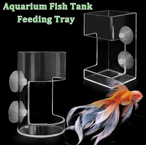1 Pcs Fish Tank Feeding Tray with Suction Cup, Acrylic Feeding Tube Fish Food Holder, Automatic Fishing Feeder Aquarium Tank Divider Supplies, Breeder Box for Aquarium Accessories (Square) - color: Square