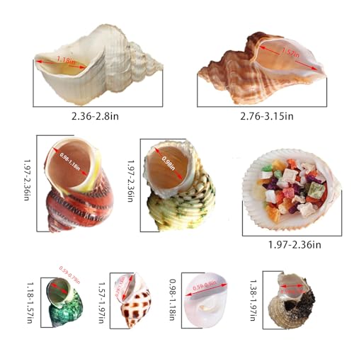 SINKOO 17PCS Hermit Crab Shells (9 Types), Natural Turbo Seashells 0.98"-3.15" for Small Medium Large Crab Growth Hideouts, Hermit Crab Accessories and Aquarium Tank Beach Decor