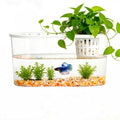 1.2 Gallon Betta Fish Tank, Desktop Aquarium with Lid & Plant Basket, Shatterproof Plastic Fish Bowl for Home Office Dorm Decor