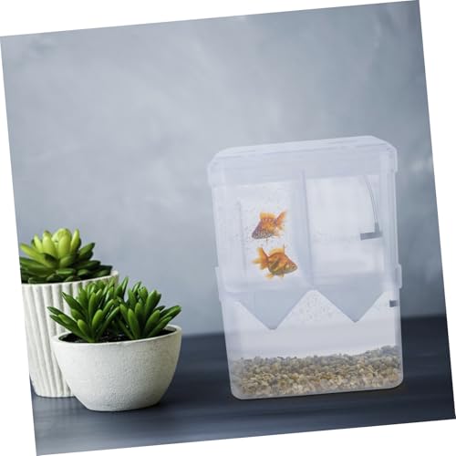 BESPORTBLE 2pcs Betta Fish Aquarium Fry Breeding Box Fish Hatching Container Aquarium Gravel Tank Incubator
