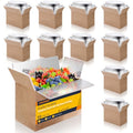 Double Insulated Shipping Boxes,10 Pack Cold Shipping Boxes with Aluminum Foil Insulated Bag,Small Mailing Box Styrofoam Box for Shipping Frozen Food,Mailing,Packing,Moving,9" x 6" x 5"