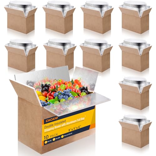 Double Insulated Shipping Boxes,10 Pack Cold Shipping Boxes with Aluminum Foil Insulated Bag,Small Mailing Box Styrofoam Box for Shipping Frozen Food,Mailing,Packing,Moving,9" x 6" x 5"