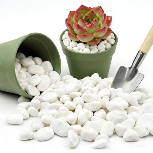 Snow White Polished River Rocks, 5/8 Inch Natural Decorative Pebbles for Fish Tank, Vase Fillers, Indoor Plants & Garden Landscaping,White Stones for Crafts, Succulents, Home Decor-6LB - size: 6lb, style: white