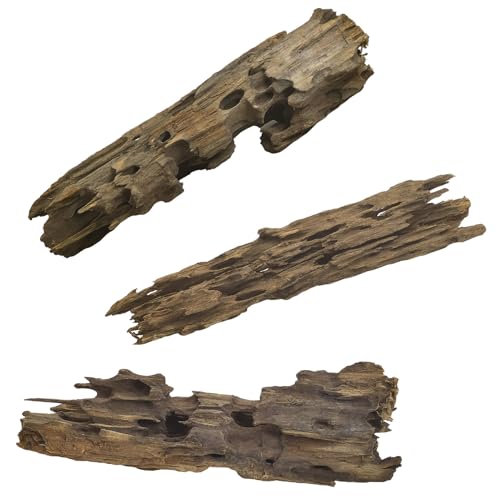 PINVNBY Natural Driftwood for Aquarium Large Reptile Terrarium Decor Decorations Assorted Branches Dearded Dragon Tank Accessories (Slim Style: 7.87-11.8 inches/3 Pack) - size: L:Honeycomb wood (7.87- 11.8 inches/3 Pack)