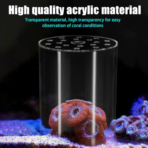 DONGKER Coral Feeder Cover, Transparent Acrylic Coral Breeding Protection Cover Avoid Food Floating Around for Aquarium Fish Tank(80mm,100mm,120mm) - size: CFC-100