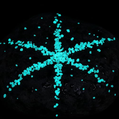 Shiny Stone Glow in The Dark Aquarium Neon Gravel Sand, Decorative Rocks for Fish Tank and Fairy Garden, Home Dec,305g/0.67lbs (3-5mm, Aqua) - color: Aqua, size: 3-5mm