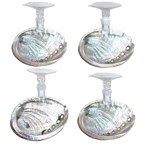 VCEPJH Betta Hammock with Suction Cups Betta Resting Spot 4 Pcs Fish Tank Accessories Decorations Shell Bed Toys for Aquarium Small Fish Natural Spawning Grounds Breeding