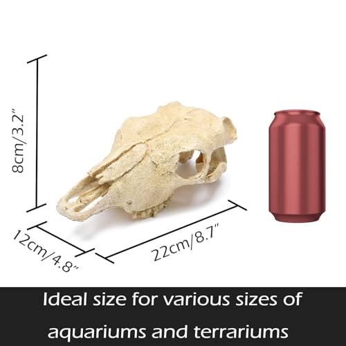 Aquarium Skull Décor Fish Hideout Cave Decorations Betta Tarantula Reptile Snake for Terrarium Ornament Dinosaur Animal Large Bones Halloween - color: Goat