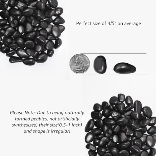 40 lbs Black River Rocks - Large Polished Black Pebbles for Plants & Garden Decorative Stones，0.5-1" Polished Pebbles for Landscaping, Fish Tanks, Flower Pots, Water Fountains - color: Black, size: Weight: 40 LB