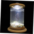 Garneck 1 Set Rotating Fish Bowl Unique Desktop Aquarium Tank with Phyllostachys Pubescens Frame for Home and Office Decor for Gardens and Craft Displays