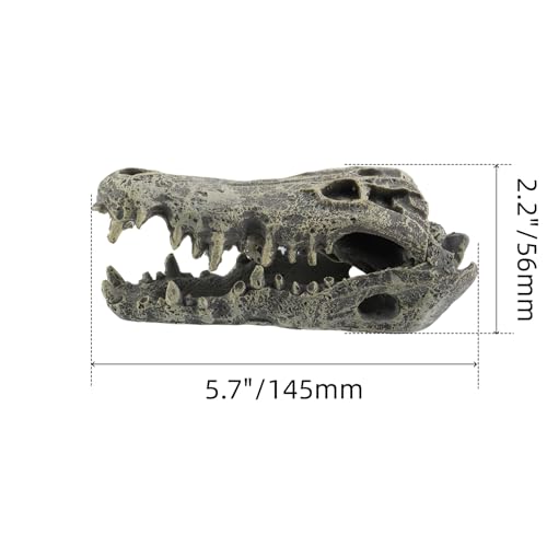 1 Pcs Resin Dinosaur Skull Aquarium Ornament, T-rex Skull Dinosaur Head, Tyrannosaurus Rex Head Skull Sculpture Fossil Figurine for Fish/Shrimp Hiding, 5.7"x2.5"x2.2"/145x63x56mm - size: 5.7"x2.5"x2.2"/145x63x56mm(LxWxH)
