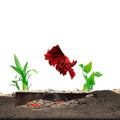 Shrimp Breeding Protector | Shrimp Breeding Cave Aquarium Tunnel | CTWPets (Brown) - color: Brown