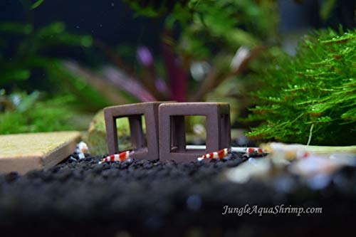 Aquarium Fish Shrimp Tube Cubes Star Clay Shelters Hiding and BREEDING CAVE (Small Shrimp Cubes (Pack of 5))