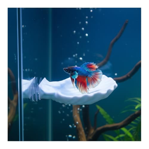 Betta Fish Hammock, Shell Pad with Strong Suction Cup Natural Resting Bed for Bettas Soft Fin-Safe Betta Fish Tank Decor and Accessories (Blue Medium) - color: Blue Medium
