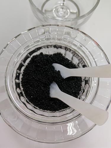Chilled Glass Caviar Dish with Shell Spoons With Lids Elegant Serving Tray with Ice Underneath for Caviar Shrimp and Party Appetizers chip and dip bowl ice cream