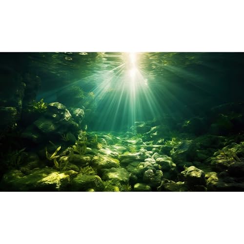 Underwater Sunray Aquarium Background Deep Ocean Rock Cave Fish Tank Background Under The Sea Coral Reef Aquarium Backgrounds Ocean Floor Tropical Fish Terrarium Backgrounds 24x12in - color: Dark Green, size: 24(W)x12(H)inches/ 60(W)*30cm(H)