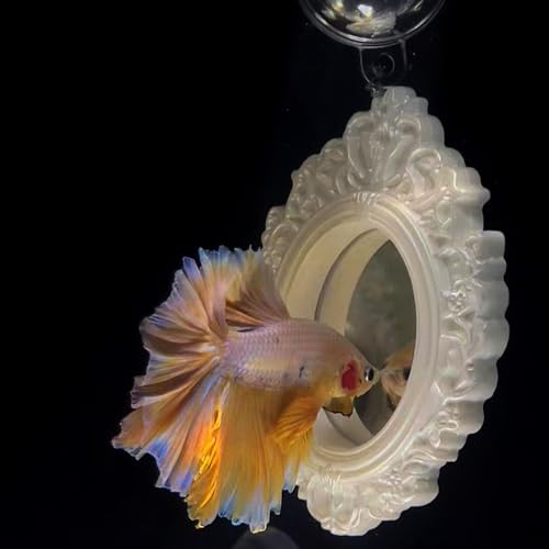 OULIGET Floating Fish Tank Decorative Mirror,Betta Exercise Training Mirror,Floating Device Aquarium Decorations,Ornament Training and Aesthetic Landscaping,2 Pieces