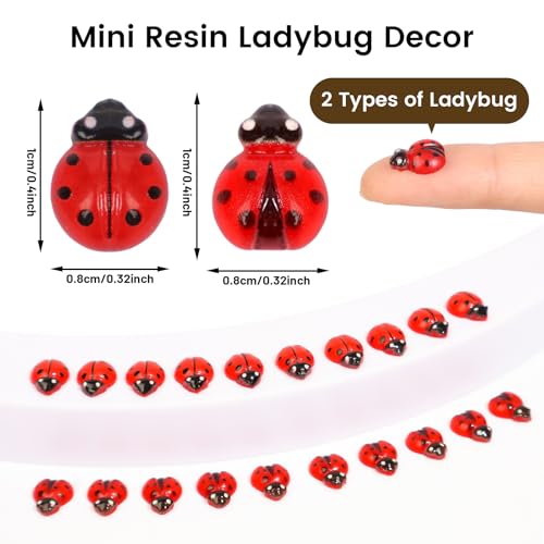 200pcs Mini Resin Ladybug Decor Tiny Ladybug for Crafts Dollhouse Miniatures Mini Resin Things Animals for Fairy Garden Micro Landscaping Home Decoration, 2 Types(0.32*0.4inch & 0.3*0.36inch) - color: 200pcs Mini Resin Ladybug