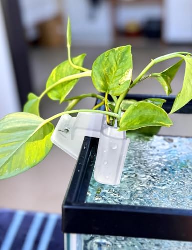 sogiv 3 Holes Aquatic Plant Cups, Hanging Aquarium Plant Holder for Fish Tank Plants Potting, Aquascape Accessories Decorations, Clear, 1 Pcs - color: Clear, 1 Pcs
