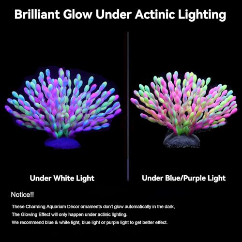 ZtohPyo Glow in the Dark Aquarium Decor, Safe Soft Silicone Fluorescent Fish Tank Decorations Artificial Sea Grapes for Fish Tank Landscape Decoration, 7.09" D x 4.72" H - color: Sea Grapes