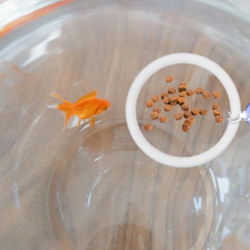 8Pcs Betta Exercise Ring with Suction-Cup, Betta Fish Toys, Beta Fish Aquariums Accessories, Fish Feeding Ring for Betta Tank
