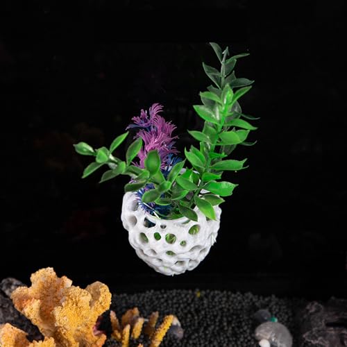 Small Fish and Shrimp Habitat Fish Hideouts Aquariums Decoration with Suction Cup Design Shetler Cave House for Breeding Aquariums Decors