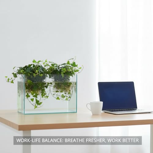 2 PCS Aquarium Plant Holder Top Hanging Fish Tank Live Plants, Betta Fish Tank Accessories Hydroponics Includes Java Moss, Monte Carlo, Frogbit, Duckweed & Weights