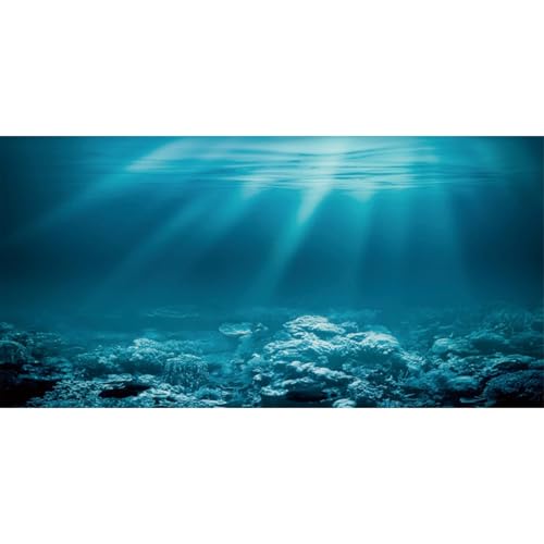 AWERT 72x24 inches Undersea Theme Aquarium Background Sunshine Underwater World Fish Tank Background Polyester Background - size: 72x24in/180x60cm
