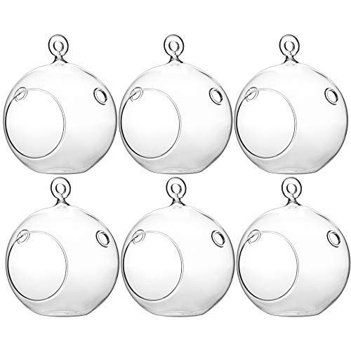 WGV Hanging Terrarium Globe, Width 4", Height 4.75", DIY Air Succulent Planter, Clear Glass Vase Orb with Flat Bottom, Candle Holder for Windowsill Outdoor Garden Decor, 6 Pieces Bulk - size: 4" Flat Bottom