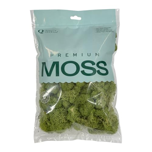 Preserved Reindeer Moss - Moss for Crafts, Home Decor, Art, Design & DIY Projects - Non-Toxic - USA Made (Spring Green, Small) - color: Spring Green, size: Small