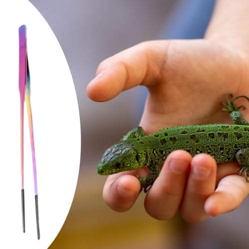 Baoblaze Reptile Feeding Tongs with Black Silicone Tip Long Planting Tweezers for Aquarium for Gecko Bearded Dragon Tank Aquascaping, Straight - color: Straight