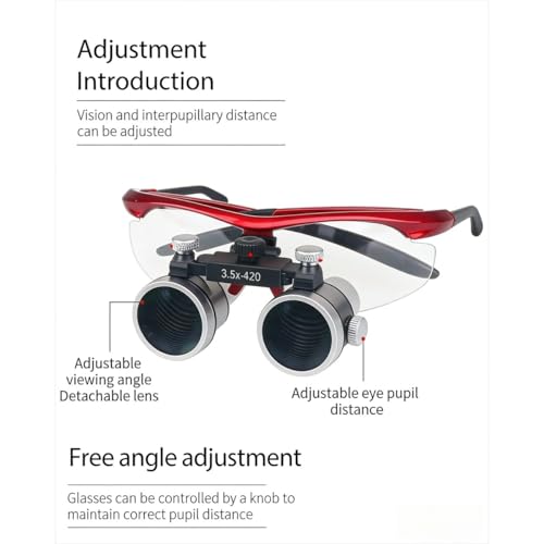 DENTASOP 3.5X/2.5X LED Dental Binocular Magnifier for Surgery and Aesthetics (Black, 2.5X) - color: Black, size: 2.5X