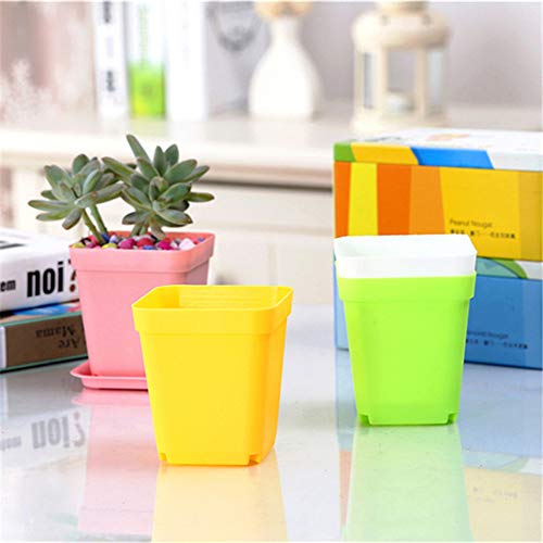 24 Pack 3inch Multi Color Square Plastic Plant Pots,Seedling Nursery Transplanting Planter Container Indoor Outdoor for Your Room,Garden Office and Balcony Decor - color: 6 Colors