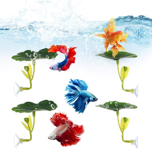 3 Pcs Betta Fish Hammock, Betta Leaf Hammock for Bettas Fish with Suction Cup, Safe Resting Spot for Fishes Tank
