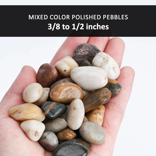 DomeStar River Rocks, Fish Tank Gravel, Pebbles for Plants Decorative Stones for Potted, Vase Filler, Home Decor, Fish Tank, Garden Landscaping, Flower Beds (1 Pound)