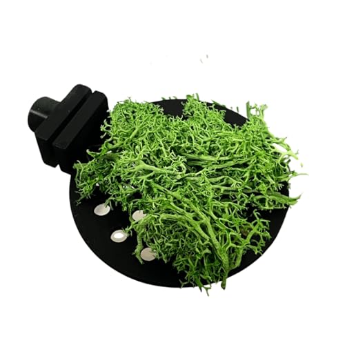 Chatelet REEFSHAPE Aquarium Moss Ledge | Attachable Moss or Plant Ledge for Fish Tanks | Platform for Aquatic Plants | Made in USA (3", Black) - color: 3", Black