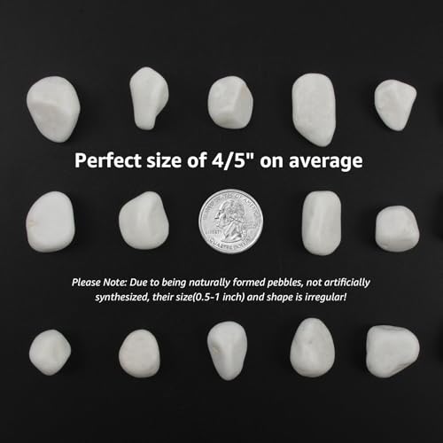 40 lbs White Polished Landscape Stones, 0.5-1 Inch Decorative Rocks for Gardens, Pathways, Pots, Vase Fillers, Aquarium Decoration, Glass Containers, and Yard Borde (Pure White, Weight: 40 LB) - color: Pure White, size: Weight: 40 LB