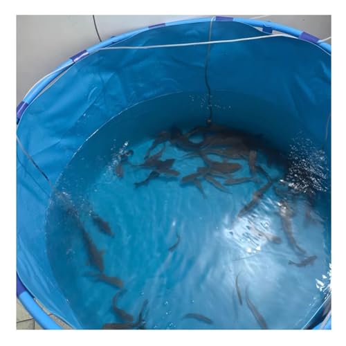 Portable Above Ground Pool - Flexible PVC Liner, Free-Standing Canvas Pond for Koi/Fish Holding Tank (2.5x0.8m) - Perfect Outdoor Water Feature for Gardens and Backyards - size: 2.5x0.8 m