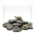 Natural Stream Stones 15-18pcs Large Aquarium Rocks 30lb Turtle Basking Platform & Reptile Slate Stones for Fish Tank & Habitat Decor(2-11 Inches) - size: 30lb(15-18pcs)