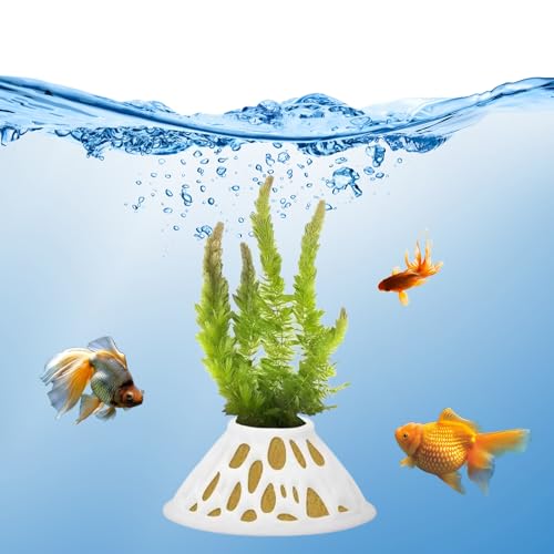 2 Pack Aquarium Plant Pots – White Plastic Aquatic Planters with Side Vent Holes, Shatterproof & BPA-Free Fish Tank Decor for Live Plants, Shrimp, Java Fern, Anubias – Freshwater & Saltwater Safe