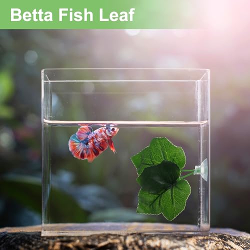 Betta Fish Leaf, Natural Habitat Simulation for Betta Spawnings Grounds, Betta Spawnings Leaves, Resting Bed, Double Maple Leaves, Deep Green