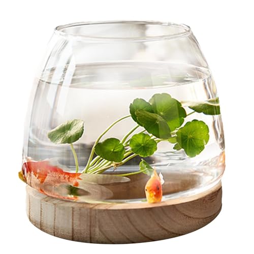 Glass Fish Bowl with Wooden Base, Transparent Small Aquarium Desktop Tank Vase Plant Terrarium Vase Home Decor, Multipurpose Aquarium Bowl for Betta Fish Goldf-ish - size: Diameter - 10cm