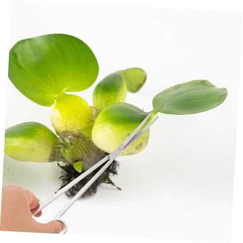 UPKOCH 1 Set Tools Aquarium Tweezers Water Plants Scissors for Precise Aquatic Plant Maintenance Ergonomic Design for Comfortable Use