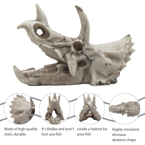 Dinosaur Skull Aquarium Decoration,Fish Tank Décor, 6.7"x3.5"x4.4" | Hideaway for Fish, Natural Look, Fun Underwater Environment - size: 6.7"