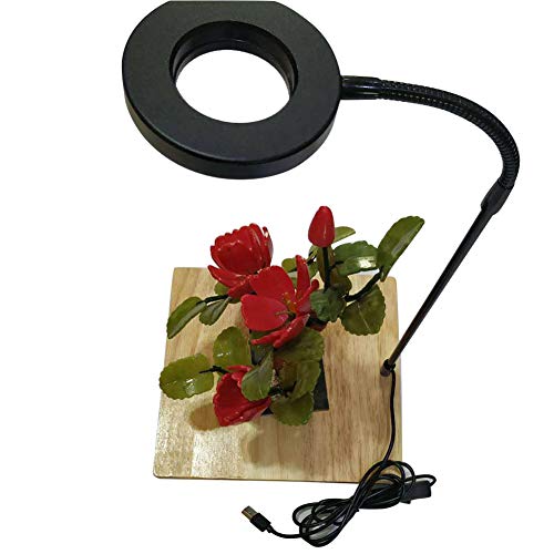 LED Aquarium Light 360 Degree Full Spectrum LED Light with Bamboo Board 10W Nano Fish Tank Light USB Powered Flat Nano Aquarium Light Bett a Fish Tank Light for Plant Growth - size: 10w s / 6.69x7.28inch