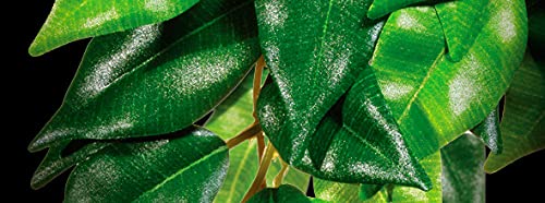 Exo Terra Plastic Terrarium Plant, Medium, Croton - color: Croton, size: Medium